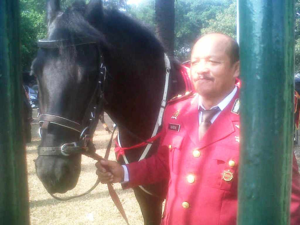 Mabes Polri menerjunkan Detasemen Turangga sebanyak 12 personel kuda dan penunggang guna mengamankan Pelantikan Presiden RI 2014-2019 di Kompleks Parlemen, Jakarta, Senin (20/10/2014). MTVN/Deny Irwanto