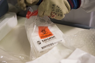 WHO: Serum Ebola Tersedia dalam Hitungan Pekan