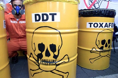 Hirup Gas Beracun, 130 Pelajar Dilarikan ke RS