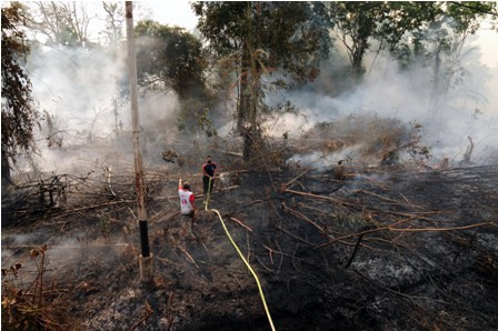 Presiden Jokowi Diminta Blusukan ke Riau  