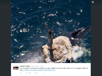 Pria Ini Nekat Naiki Bangkai Paus yang Dikelilingi Hiu