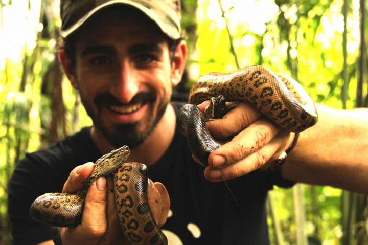 Presenter Siap Dimakan Anakonda