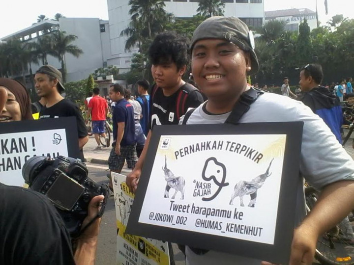 WWF: Aktivitas Manusia Jadi Faktor Utama Merosotnya Polupulasi Gajah