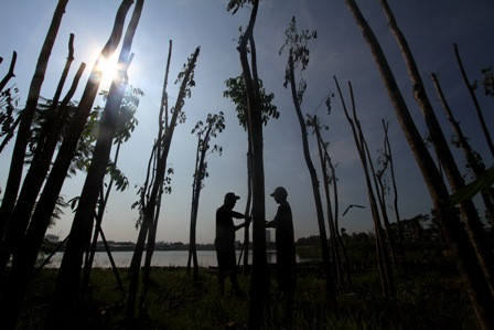 Penggusuran Pemukiman di Waduk Ria Rio, Ricuh
