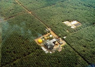 Warga Lima Desa di Mamuju Utara Serang Karyawan Perusahaan Sawit 