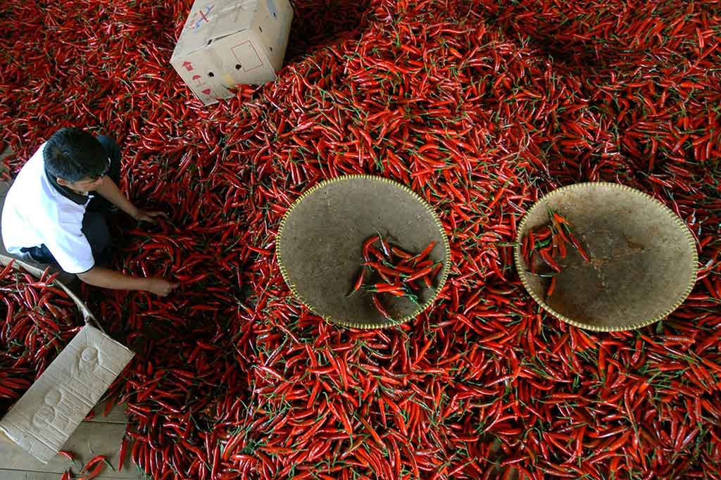 Harga Cabai Merah di Tasikmalaya Melonjak