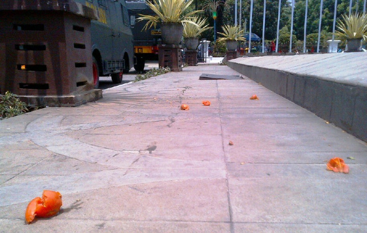 Hari Pertama Gubernur Ahok, Balai Kota Dilempari Tomat