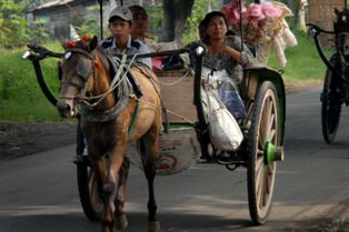 Tarif Angkot Naik, Warga Pilih Naik Dokar