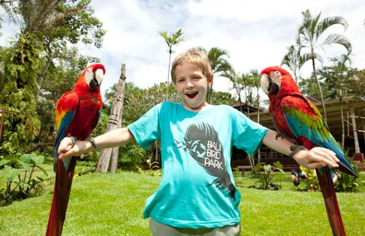Wisata Seribu Burung di Bali Bird Park 