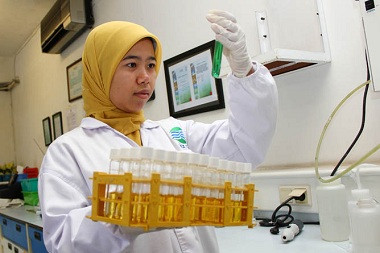 Ayo Selamatkan Muka Tanah Jakarta  