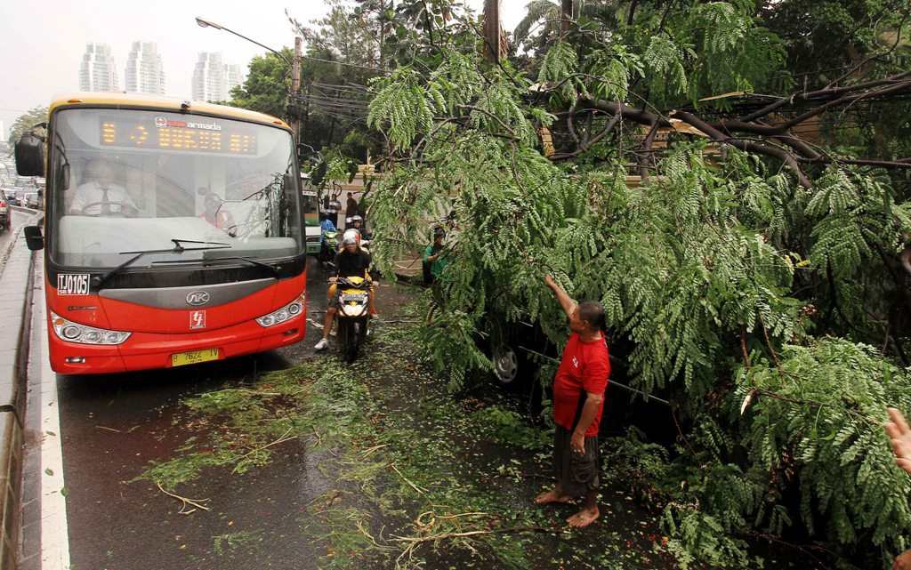 Ilustrasi -- MI/Angga Yuniar