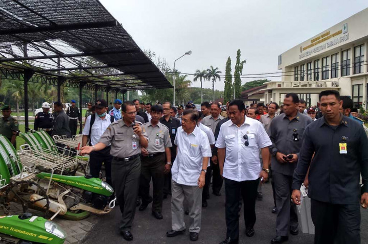 JK: Tahun Depan, Indonesia Harus Swasembada Pangan