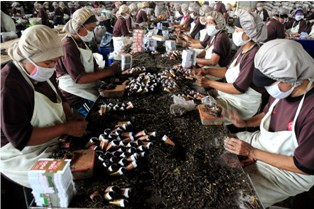 Peningkatan Kualitas SDM Diperlukan Untuk Dukung MEA 2015