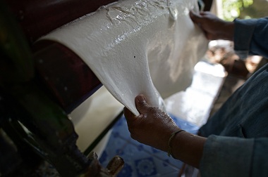 Harga Karet Jatuh, Petani Thailand Kecam Junta Militer