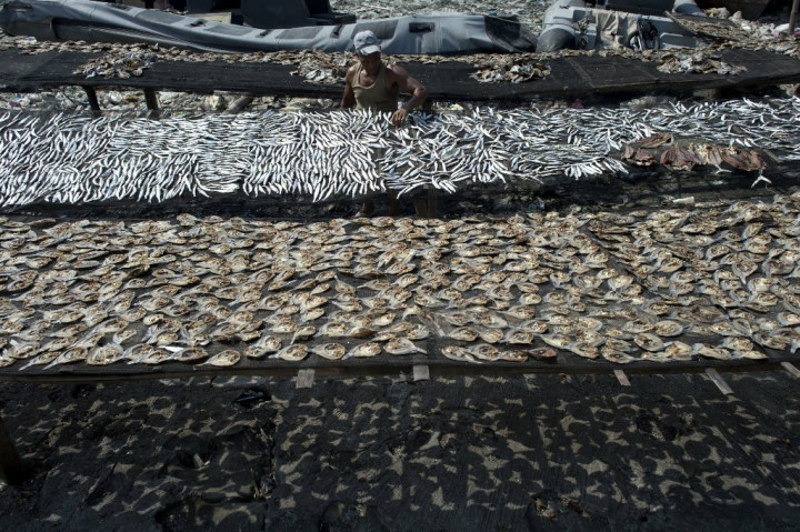  Pencurian Ikan di Indonesia Mirip dengan Rusia