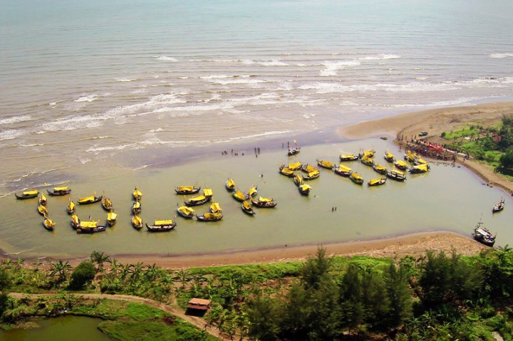 PLN Ambil Alih PLTU Batang, Masalah Lahan Tuntas dalam 6 Bulan