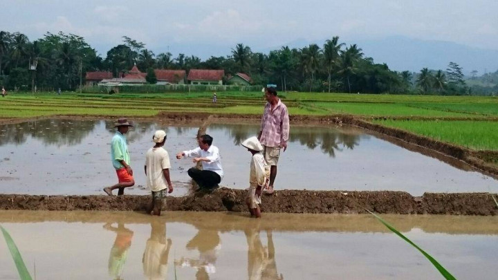 Kunjungi Lokasi Longsor, Jokowi Sempatkan Berbincang dengan Petani