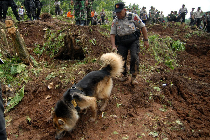 Cari Korban Longsor, Polda Jateng Terjunkan Dua Anjing Pelacak