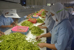 Mendag Sebut Lonjakan Harga Kedelai Terjadi di Tingkat Pedagang