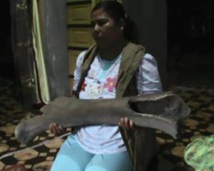 Warga Temukan Tulang Besar di Danau Singkarak, Diduga Fosil Hewan Purba