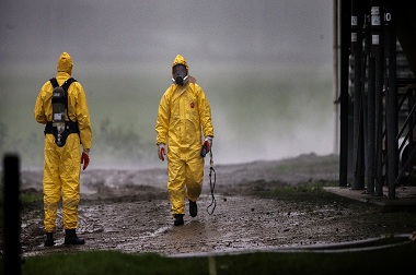 Flu Burung Tewaskan Empat Orang di Libya