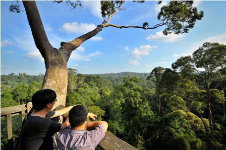 900 Ha Kawasan Hutan Lindung di Luwu Diperjualbelikan