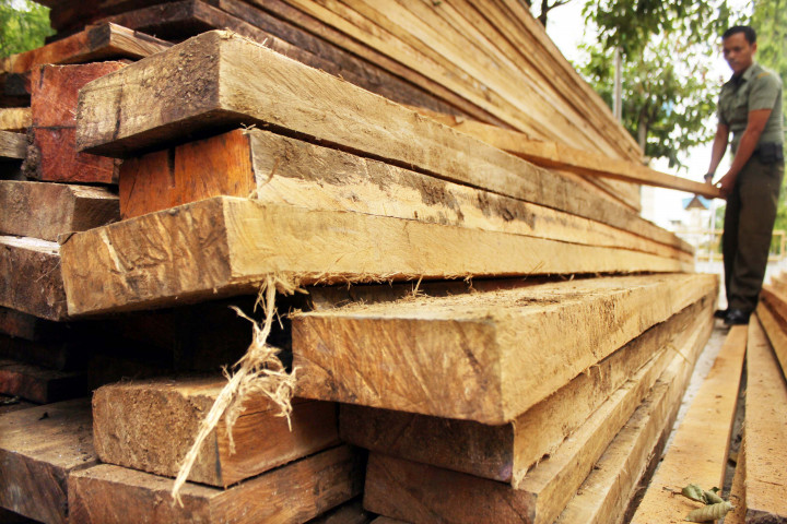 Revisi Permen Sebabkan Ekspor Kayu Meningkat Tajam
