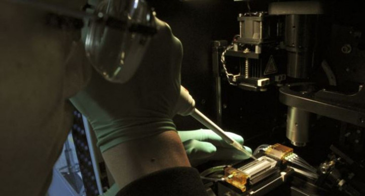 Campuran Etnik Warga AS Ternyata Sangat Rumit