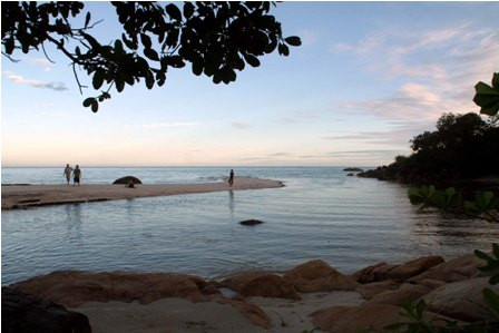 Kades Bantah Ada Korban Selamat AirAsia QZ8501 di Serutu