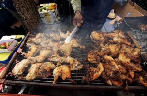 55 Gambar Ayam Pinadar Kekinian 55 Gambar Ayam Pinadar Kekinian