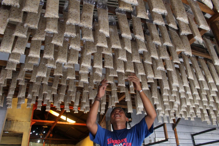 Produksi Sedikit, Kemendag <i>Keukeuh</i> Impor Kedelai Tahun Ini