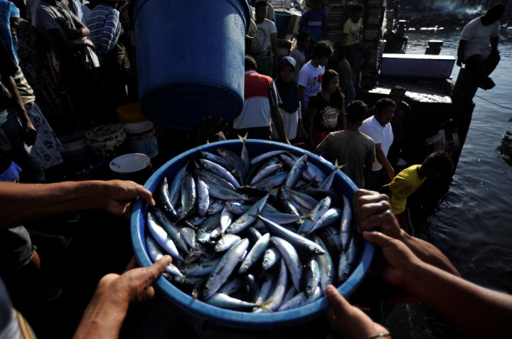 Target Susi di 2015: Harga Ikan Harus Murah! 