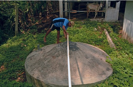 Harga Eliji Melambung, Kotoran Ternak Jadi Sumber Energi di Ponorogo