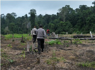 Kemenhut Akan Bentuk Direktorat Penegakan Hukum Lingkungan