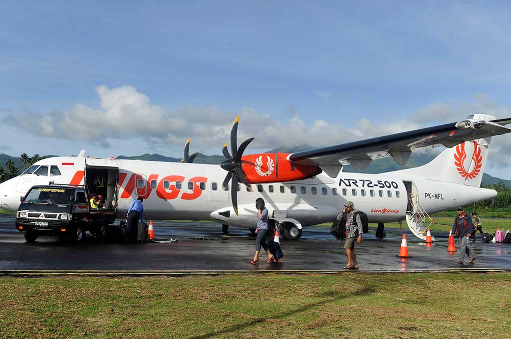 Celah Pasar Penerbangan Perintis