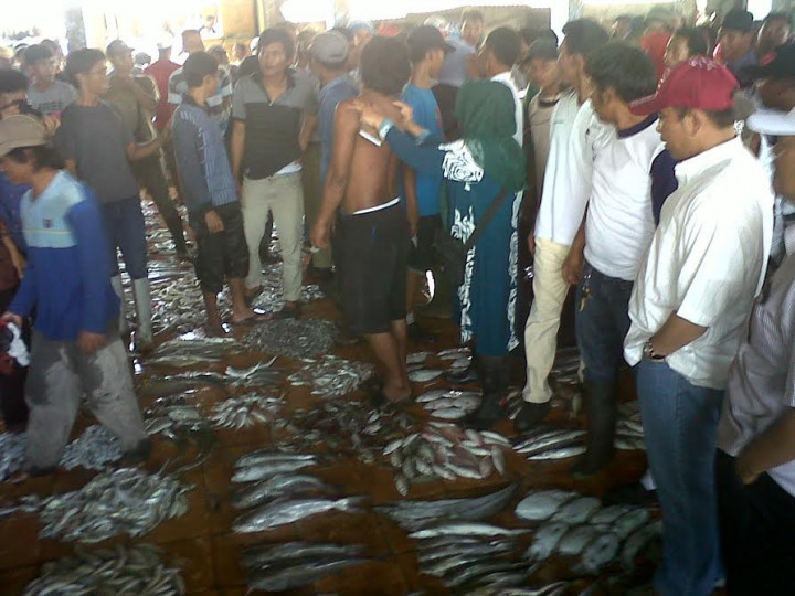 Menteri Desa Sempat Ikut Lelang Ikan Saat Blusukan