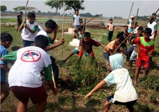 Hama Tikus Serang Ratusan Hektare Sawah di Tasikmalaya