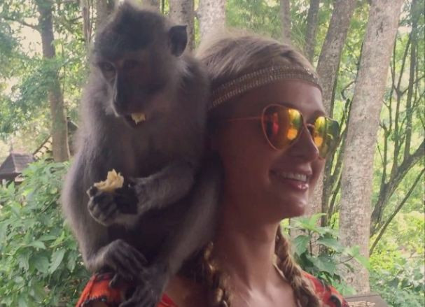 Pulang Ke LA, Paris Hilton Janji Akan Berkunjung Lagi ke Bali 