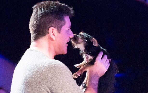 Simon Cowell (Foto:Mirror)