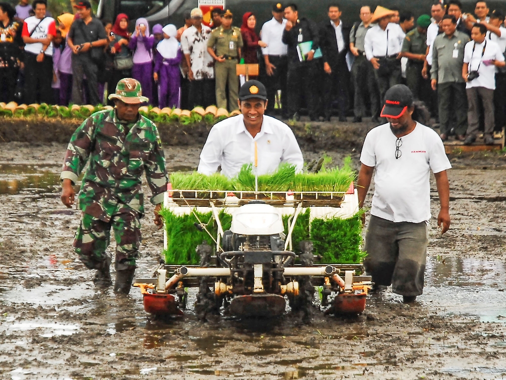 Menteri Pertanian Amran Sulaiman menanam benih di persawahan Desa Glagahwangi, Polanharjo, Klaten, Jawa Tengah, Kamis (15/1). Foto: ANTARA/Andika Betha.
