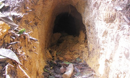 Empat Penambang Emas Terjebak di Kedalaman 40 Meter