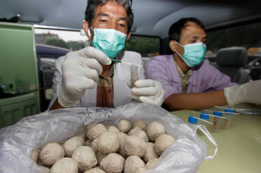 Omzet Pedagang Bakso Turun Pascapenggerebekan Bakso Celeng