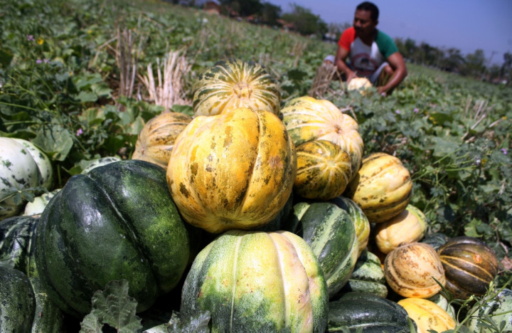 Ini Alasan Enam PTPN Dikucuri Dana PMN