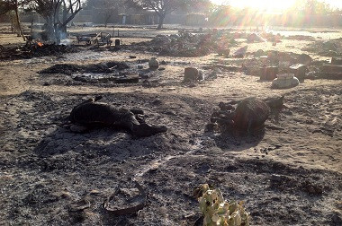 Pasukan Nigeria Halau Serbuan Boko Haram