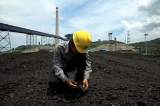 Pajak Belum Pasti, Pemerintah akan Naikkan PNBP Minerba