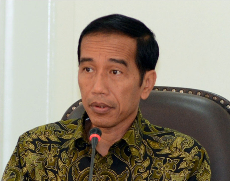  Presiden Joko Widodo. (foto:MI/Panca)