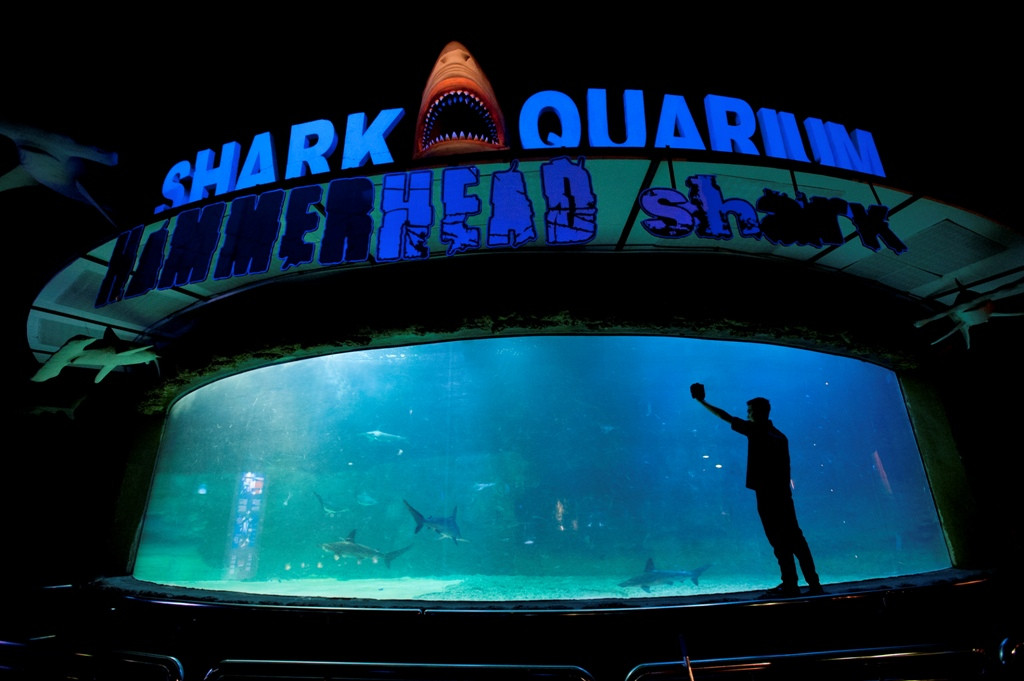 Sea World -- ANTARA FOTO/Wahyu Putro A