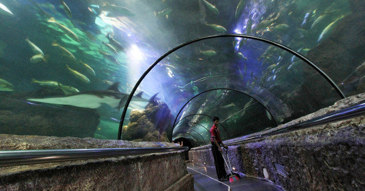 Sea World Minat Perpanjang Kontrak, Dirut PJAA: Kita Kaji Dulu 