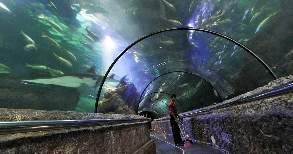 Sea World -- MI/IMMANUEL ANTONIUS