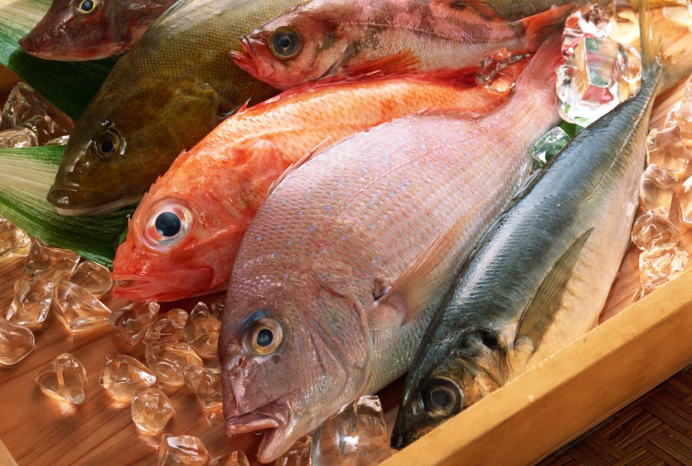 Dilema makan ikan. Foto: Vladtime